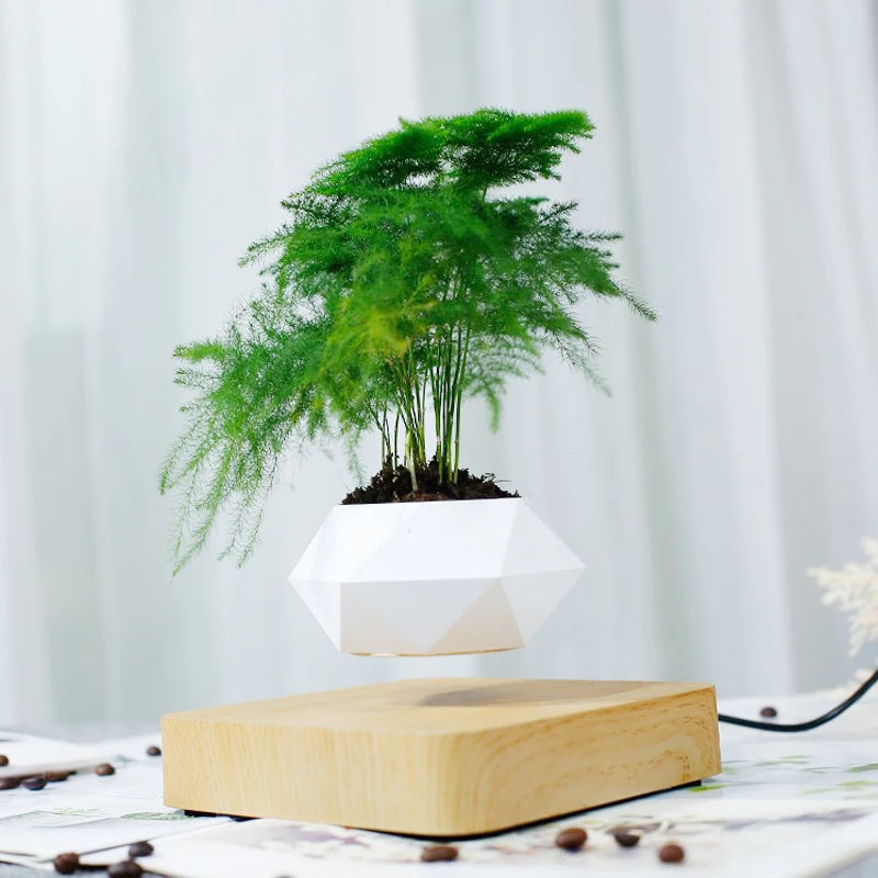 Levitating Air Bonsai Pot Rotation Planters