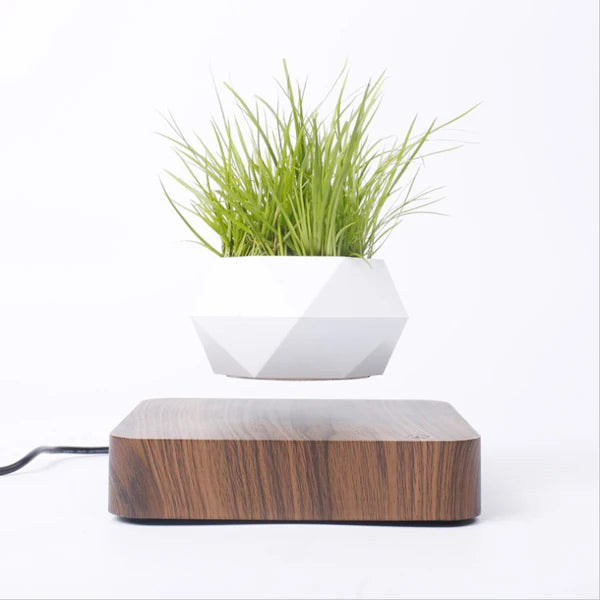Levitating Air Bonsai Pot Rotation Planters