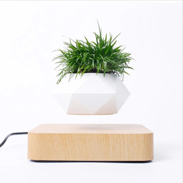 Levitating Air Bonsai Pot Rotation Planters