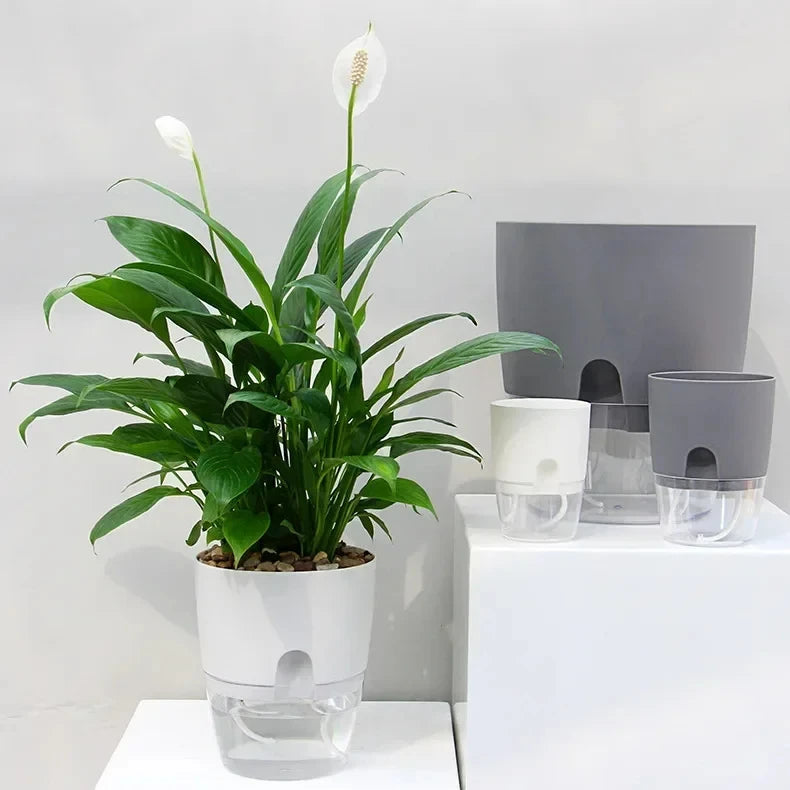 Self Watering Flowerpot Transparent Double Layer