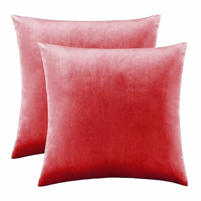 2 Packs Decorative Cushions Covers Cases