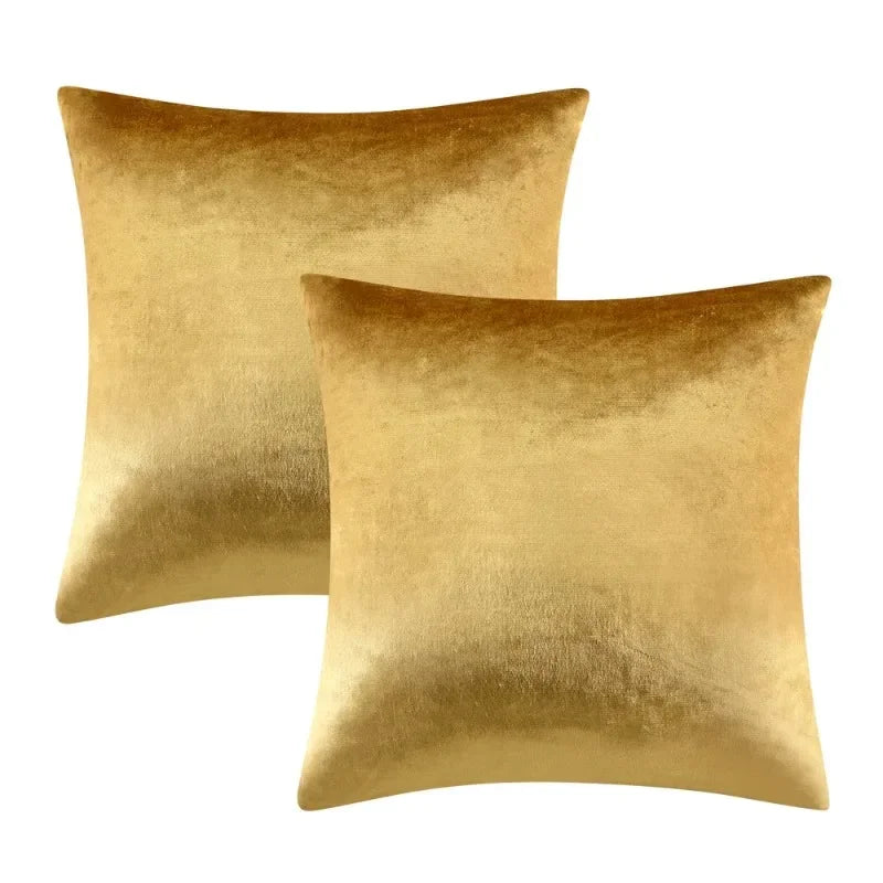 2 Packs Decorative Cushions Covers Cases