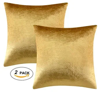 2 Packs Decorative Cushions Covers Cases