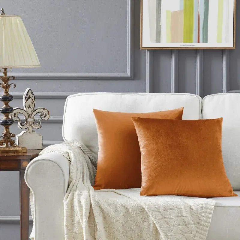 2 Packs Decorative Cushions Covers Cases