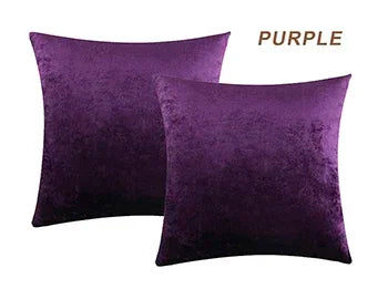 2 Packs Decorative Cushions Covers Cases