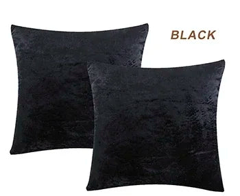 2 Packs Decorative Cushions Covers Cases