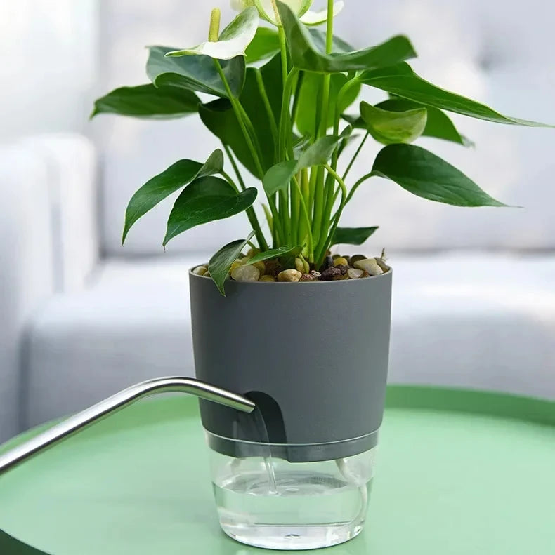 Self Watering Flowerpot Transparent Double Layer