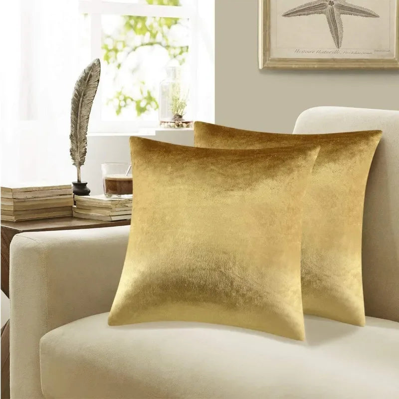 2 Packs Decorative Cushions Covers Cases