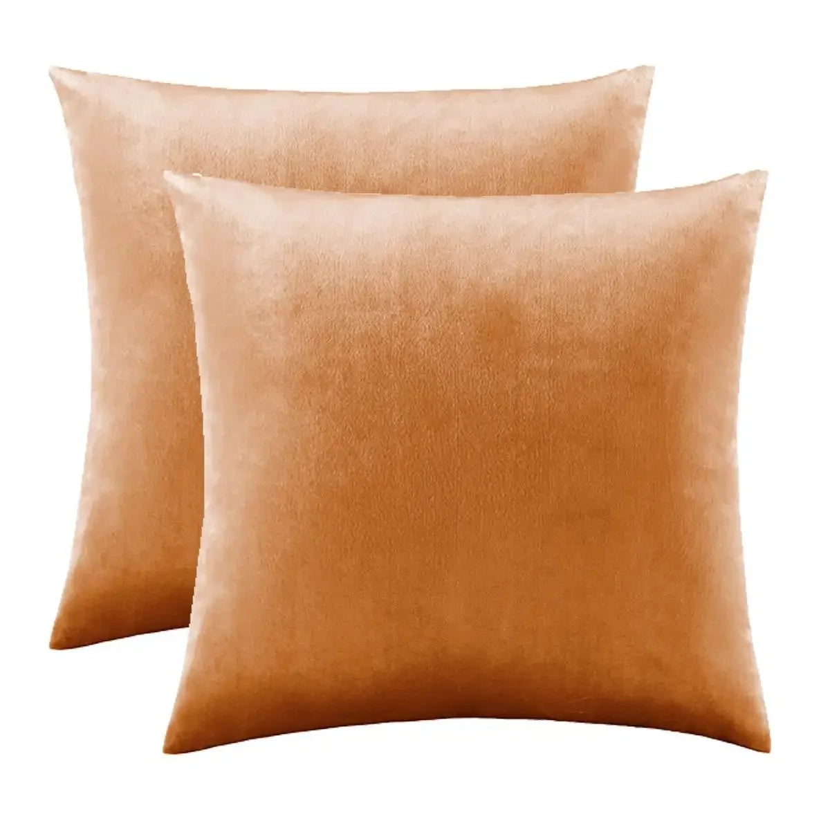 2 Packs Decorative Cushions Covers Cases